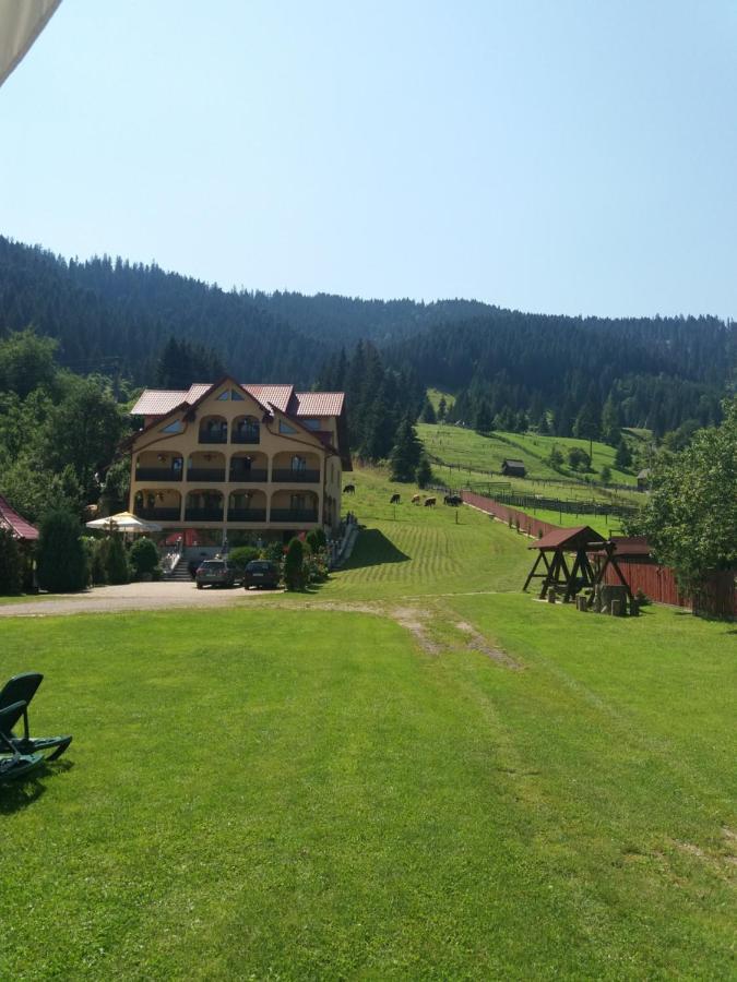 Hotel Pensiunea Alunis Sadova  Exteriér fotografie