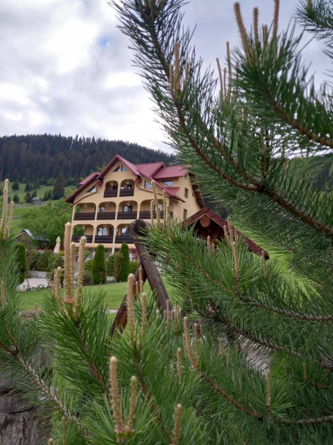 Hotel Pensiunea Alunis Sadova  Exteriér fotografie