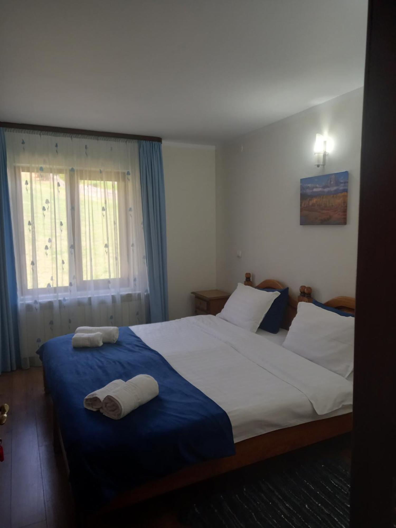 Hotel Pensiunea Alunis Sadova  Exteriér fotografie